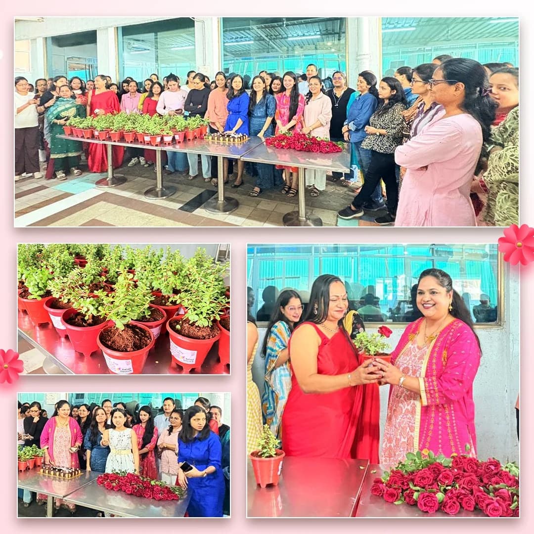 Collage of a Babaji Shivram team celebration with cake, flowers and potted plants